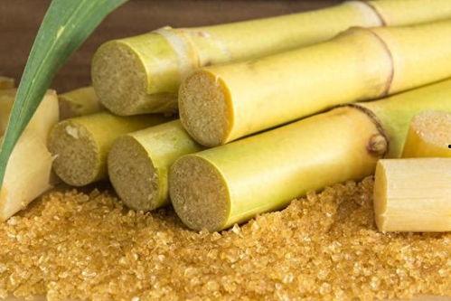 热点爆料甘蔗怎么做视频,视频教程带你轻松学会 第2张 热点爆料甘蔗怎么做视频,视频教程带你轻松学会 第2张